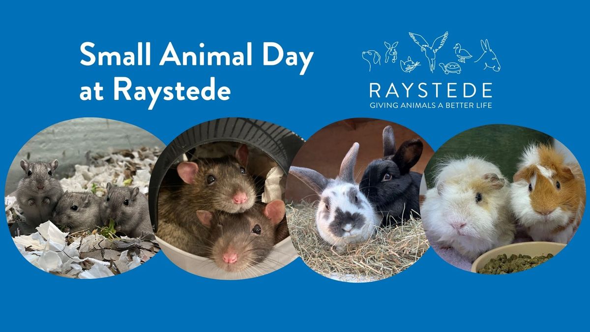 Small Animal Day at Raystede