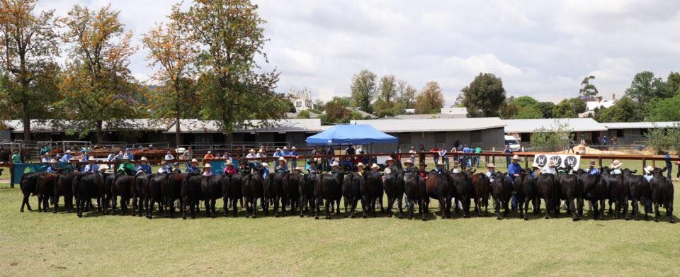 2024 Upper Hunter Beef Bonanza