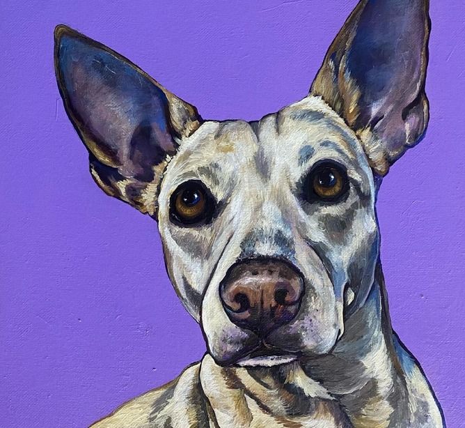 Sip & Paint Your Pet