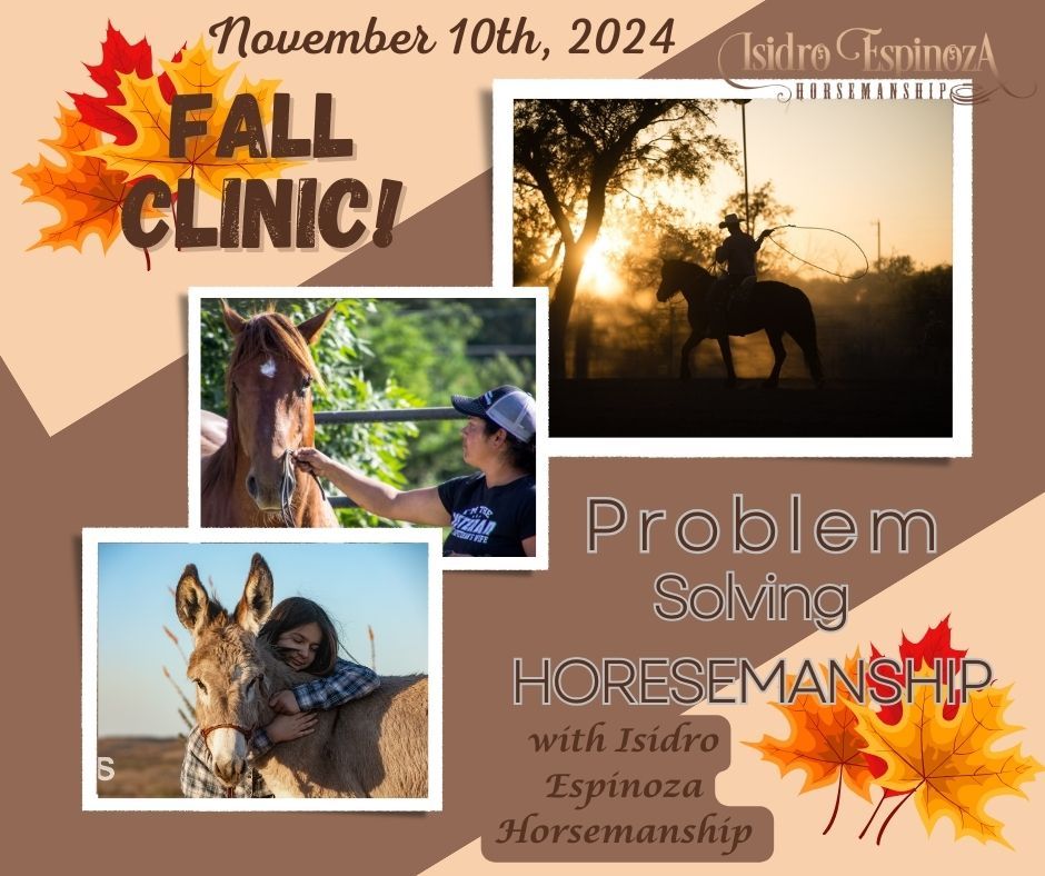 November Problem Solving Clinic