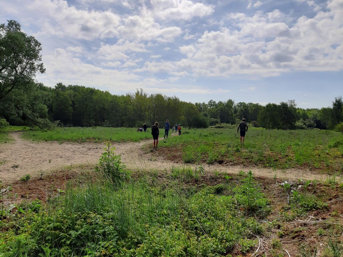 SNUIT Sporen zoeken, braakballen pluizen en tekenen - Vlietbos (Zwijndrecht)