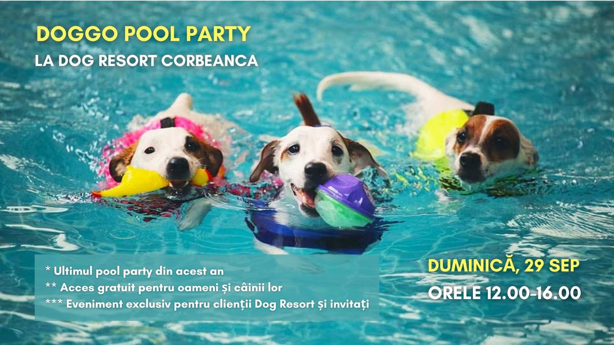 Doggo Party, la Dog Resort Corbeanca