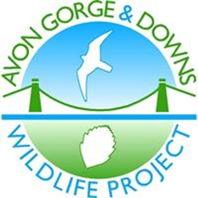 Avon Gorge & Downs Wildlife Project