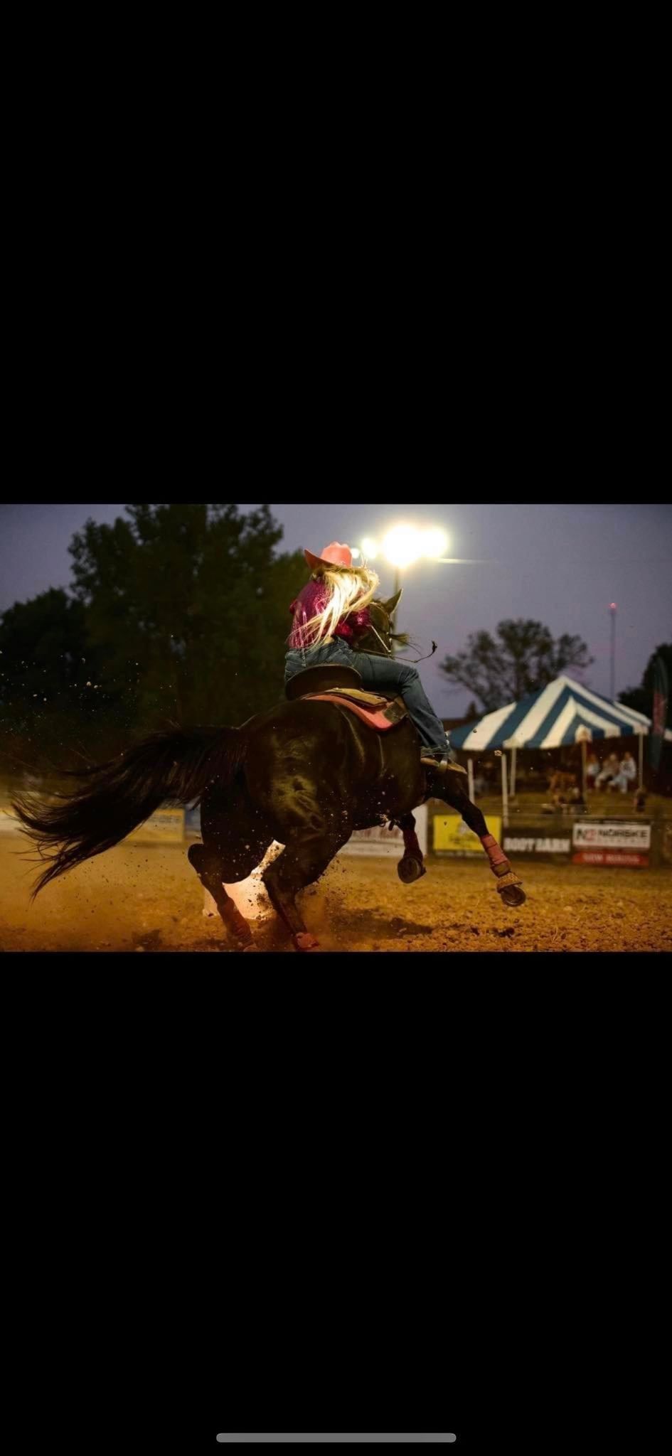 Barrel Racing Clinic & Saddle Fitting 