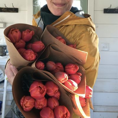 Jennifer Way - Spring Valley Farm