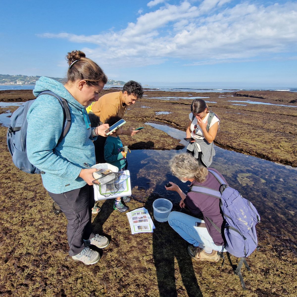 Devenez observateur du littoral basque et d\u00e9couvrez la richesse de la biodiversit\u00e9 de l\u2019estran