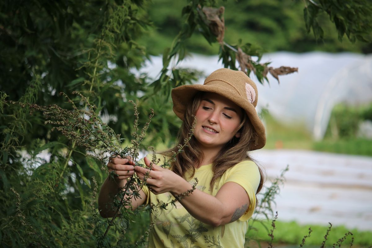 Wild Foraging with Nikki Satira at Ottawa Farm Fresh