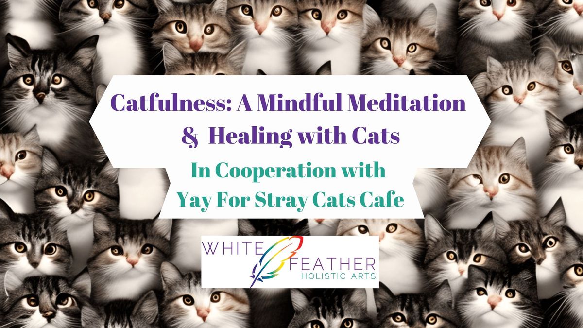 Catfulness - A Mindful Meditation & Healing With Cats
