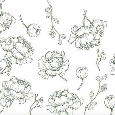 Bloom Co. Marketing & PR