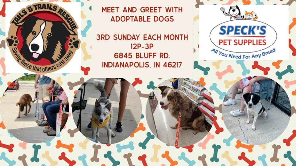 Meet and Greet with Adoptable Dogs!