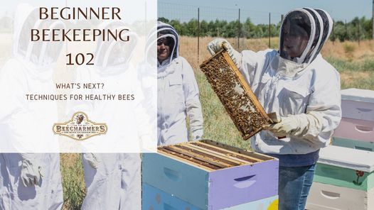 Beginner Beekeeping 102
