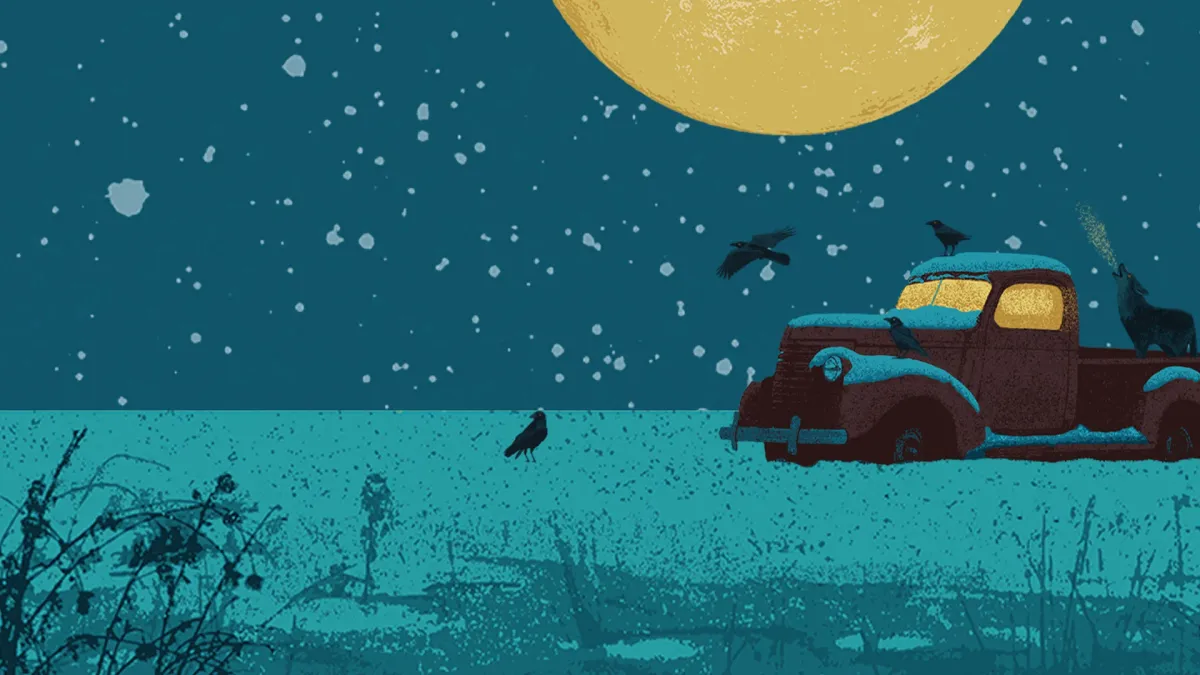 Driftwood in Buffalo