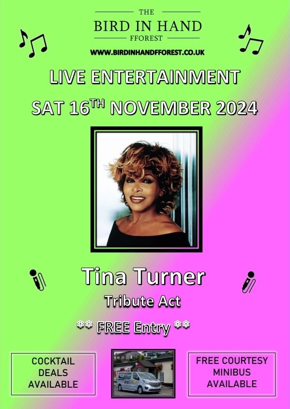 Tina Turner Tribute Act