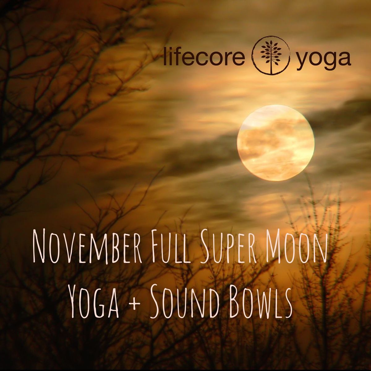 November FULL SUPER Moon: Yoga + Sound Bowls