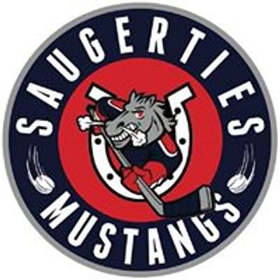 Saugerties Youth Hockey Association