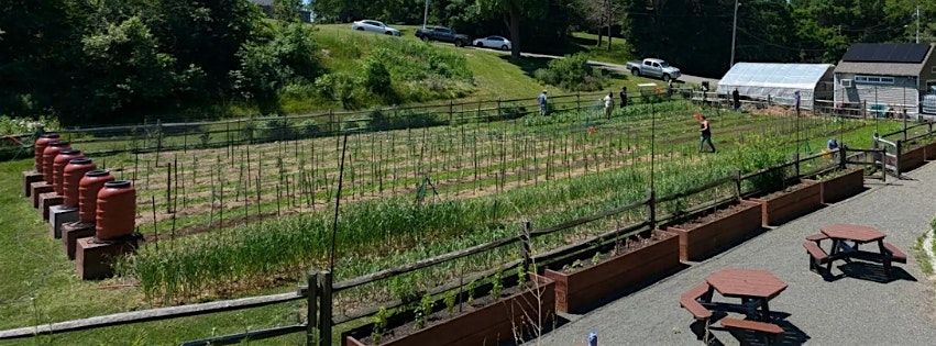 Roots of Salem: A Demonstration of Indigenous Foodways