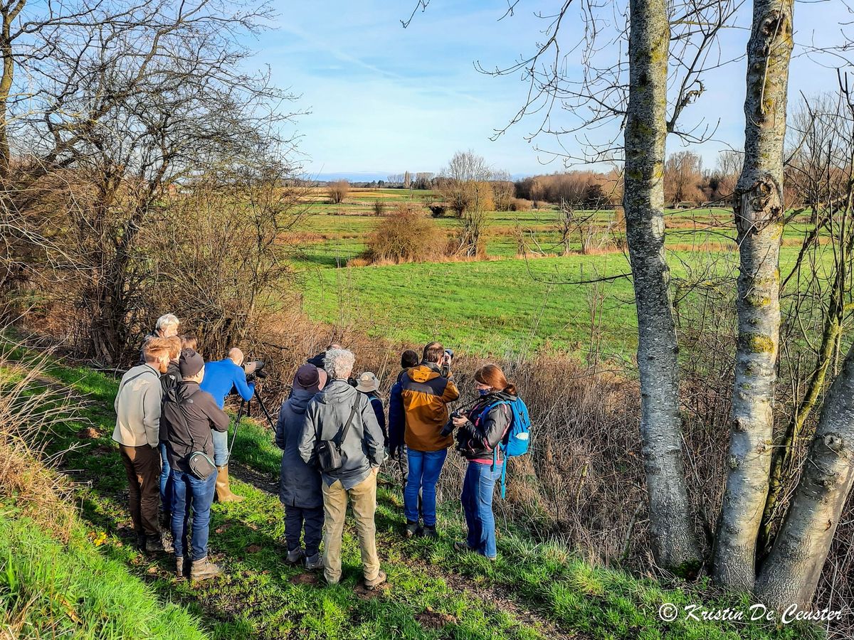 Vroege vogel wandeling Velpevallei Roosbeek-Breisem