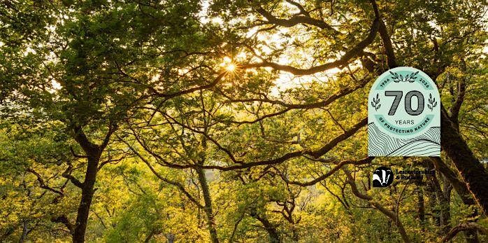 Wild Walk \u2013 Heath, Wood, Marsh & Meadow