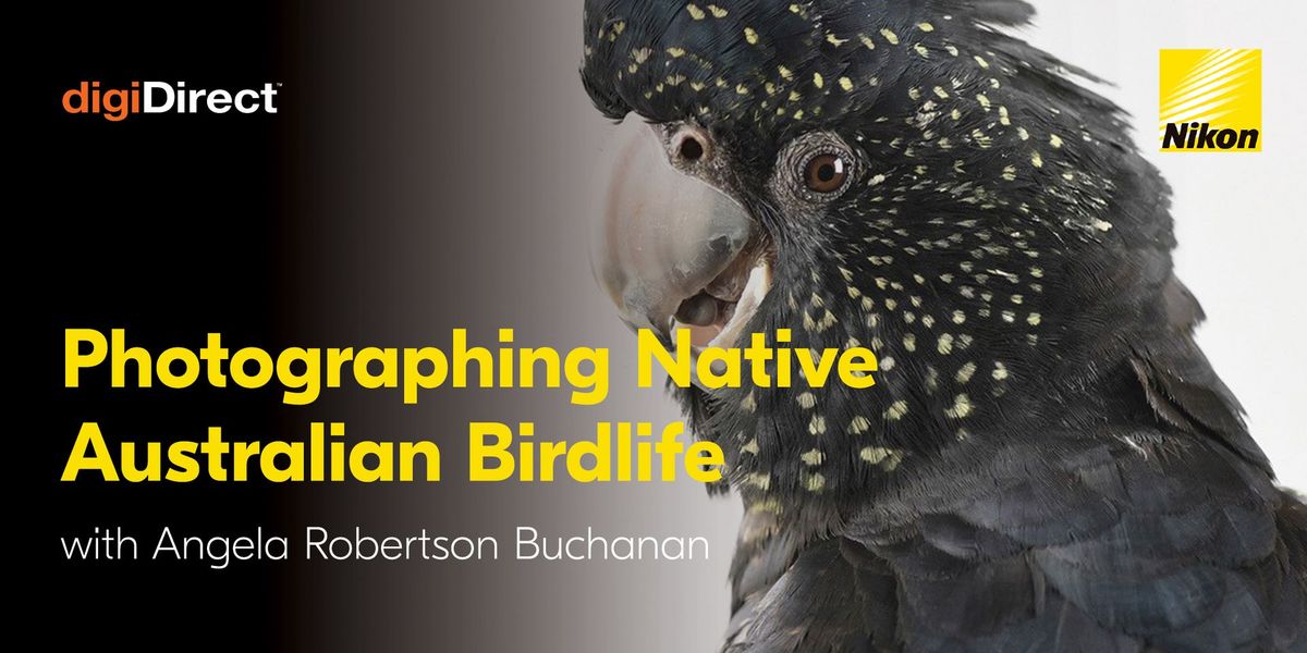 Photographing Native Australian Birdlife