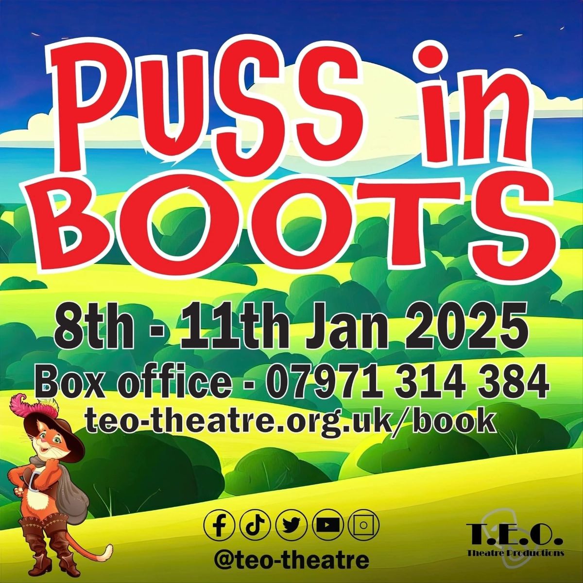 puss in boots family pantomime 