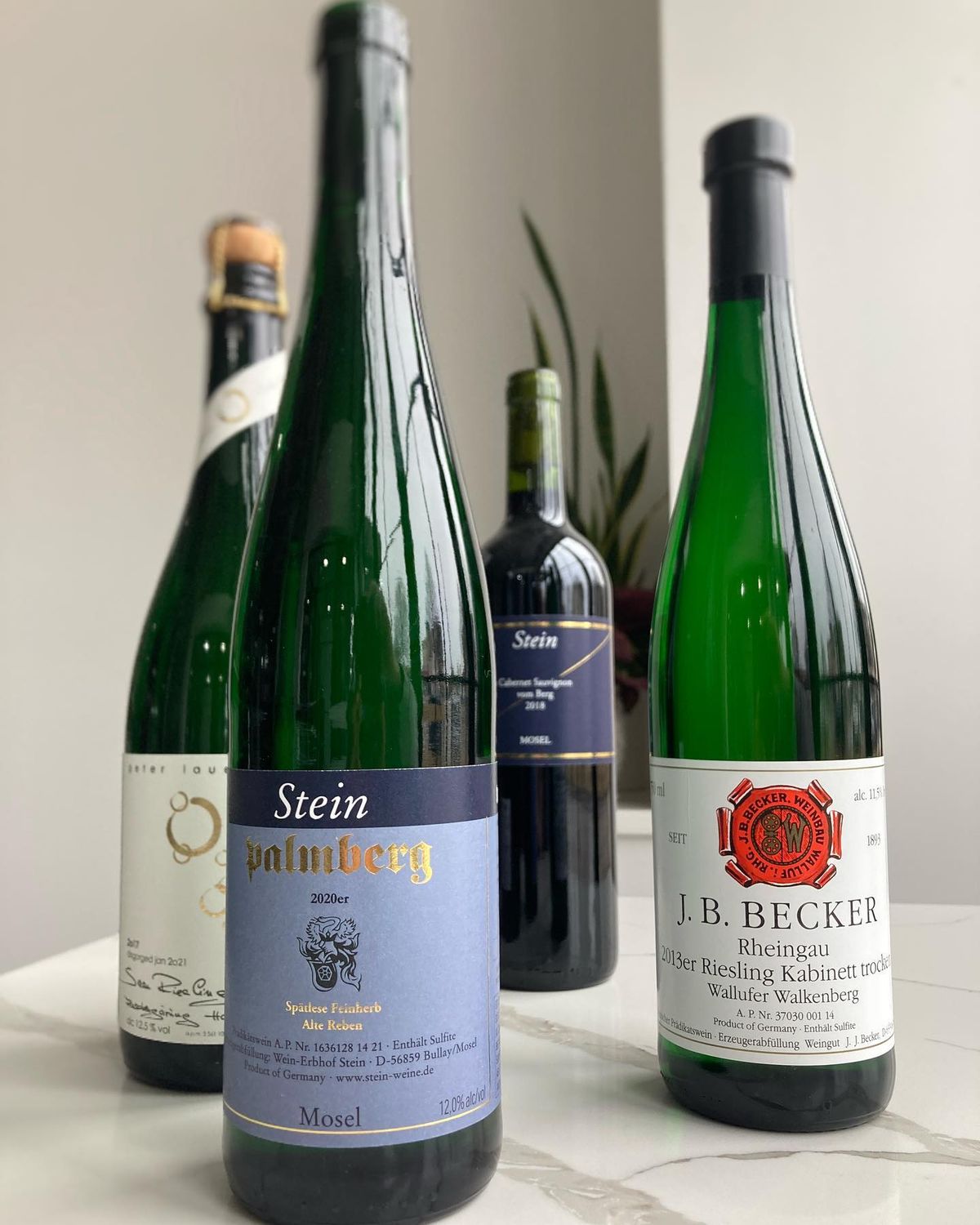 Not Your Grandmother's Riesling Wine Tasting & Masterclass at The Apis