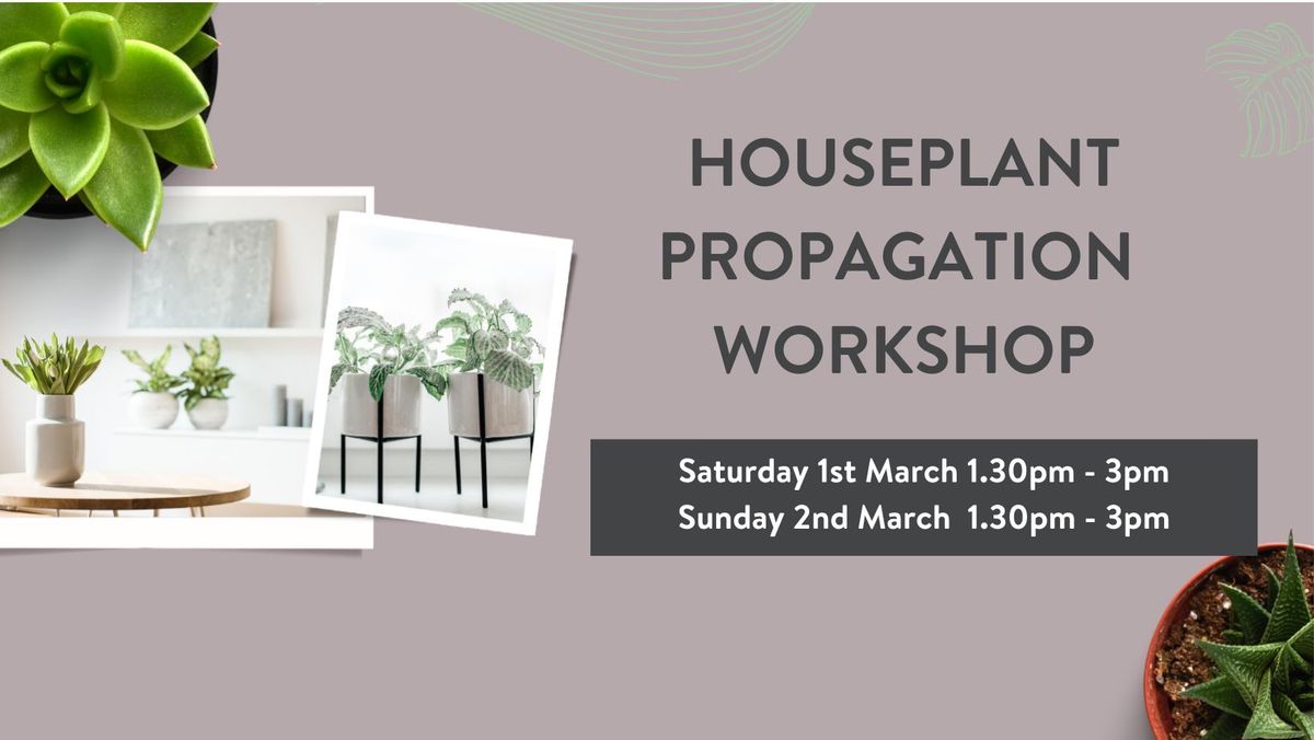 HOUSEPLANT PROPAGATION WORKSHOP