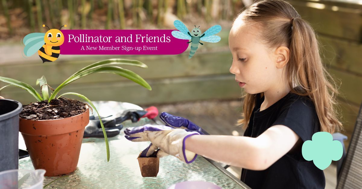 South Portland |Pollinator & Friends: A Girl Scouts Information & Sign-up Event