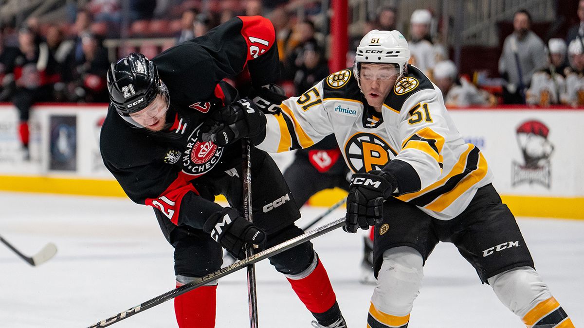 Providence Bruins vs. Charlotte Checkers