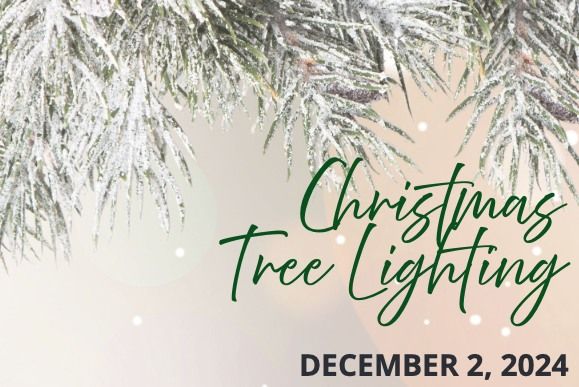 Christmas Tree Lighting