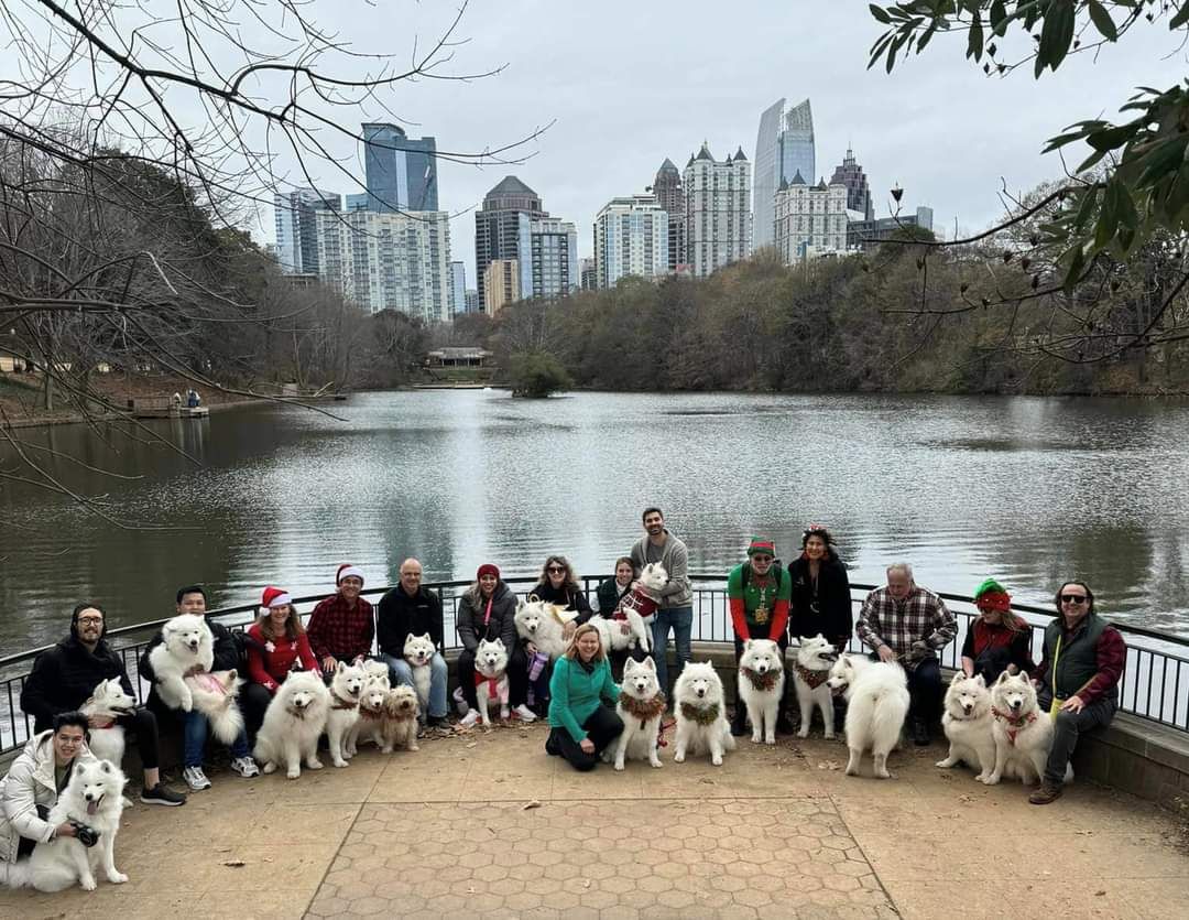 Samoyed Walk at Piedmont Park - Date Change