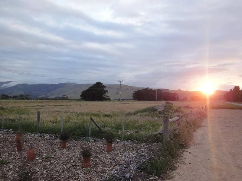 Tour de Peninsula