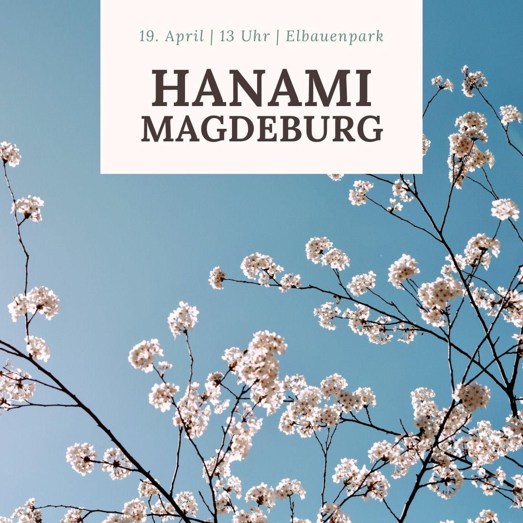 Hanami-Treffen