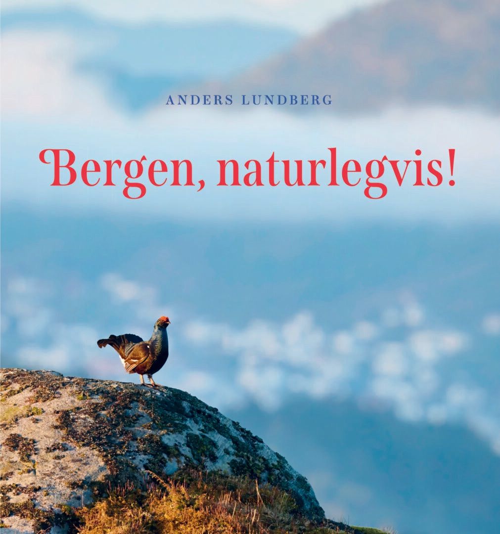 \u00abBERGEN, NATURLEGVIS!\u00bb \u2013 Foredrag med Anders Lundberg