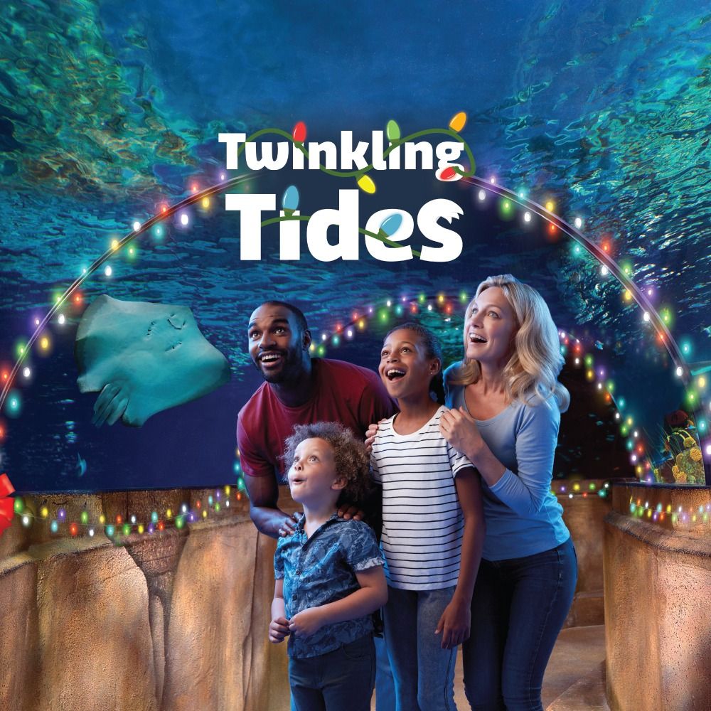 Twinkling Tides - Holiday Event for Families at SEA LIFE Michigan Aquarium