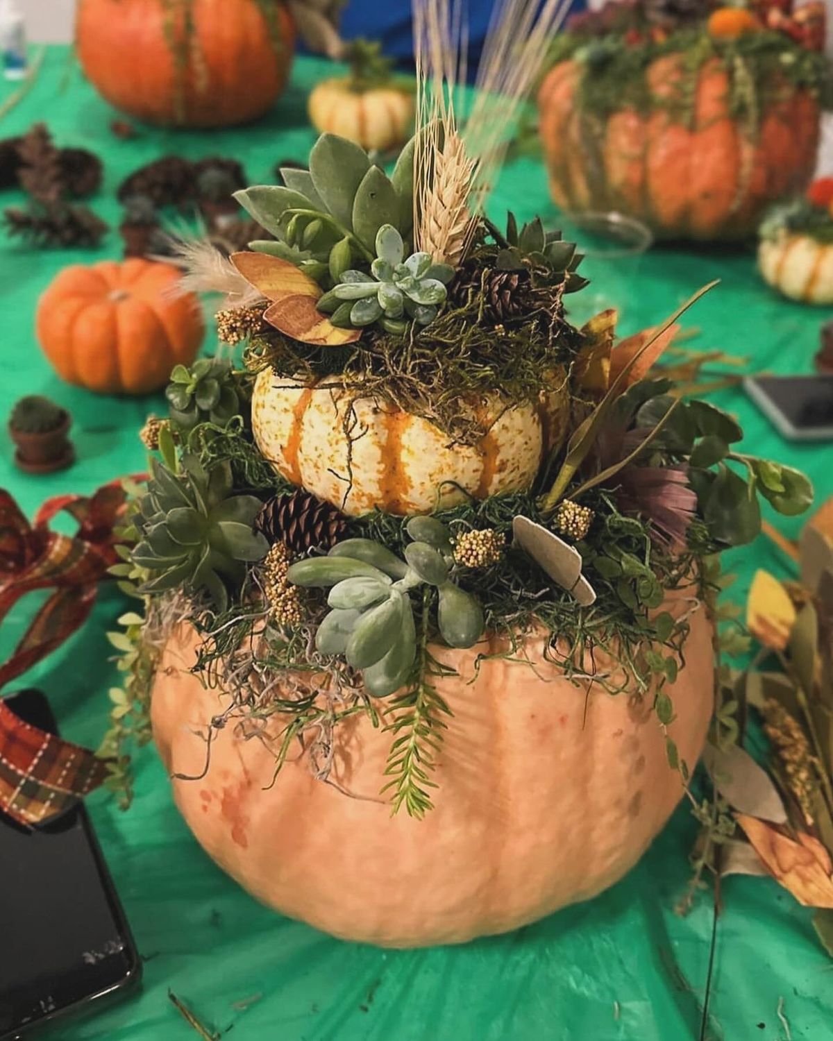 Pumpkin Succulent Workshop 