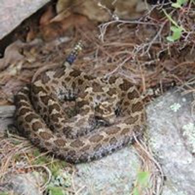 Parry Sound Nature Club