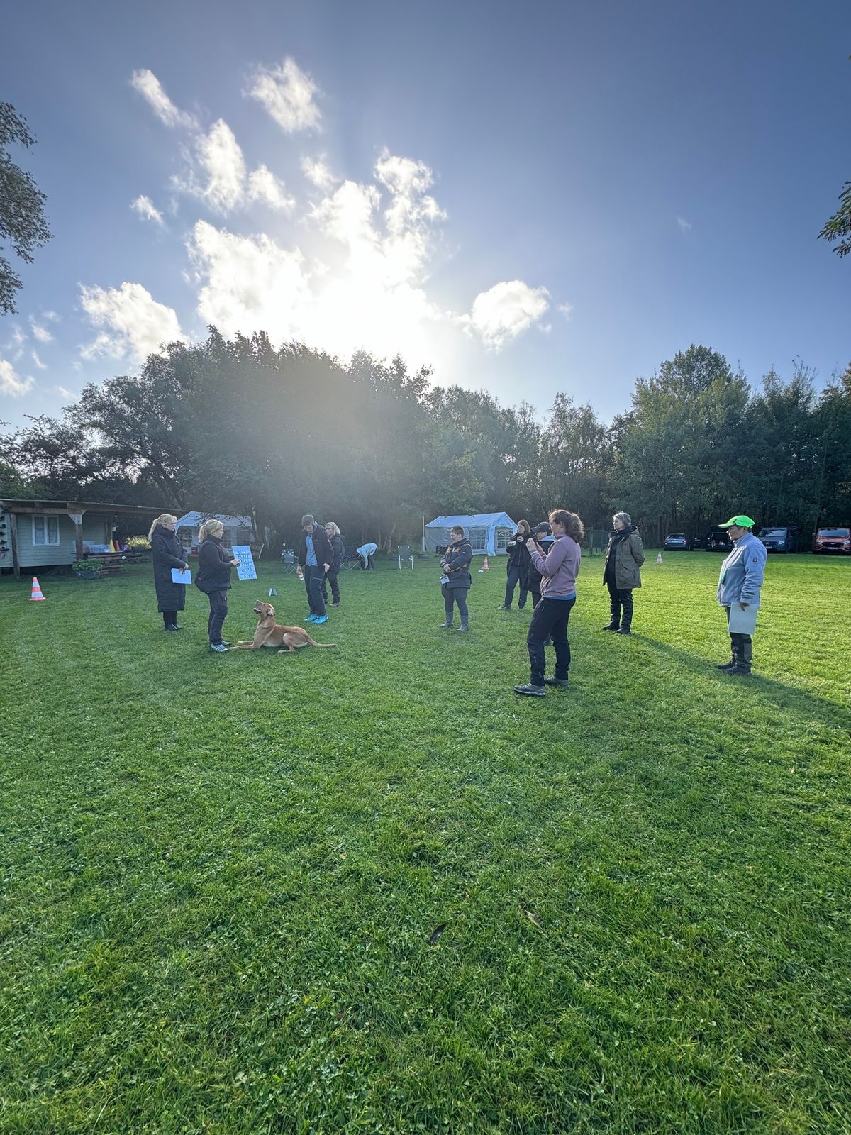 Obedience Seminar mit Anna Herzog