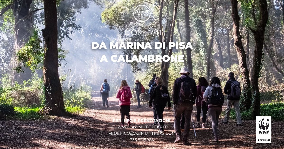 Da Marina a Calambrone - una passeggiata incredibile -