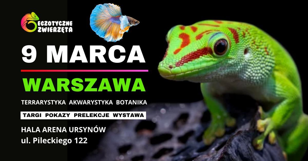 WARSZAWA 9 MARCA - EGZOTYCZNE ZWIERZ\u0118TA - TERRARYSTYKA AKWARYSTYTKA BOTANIKA