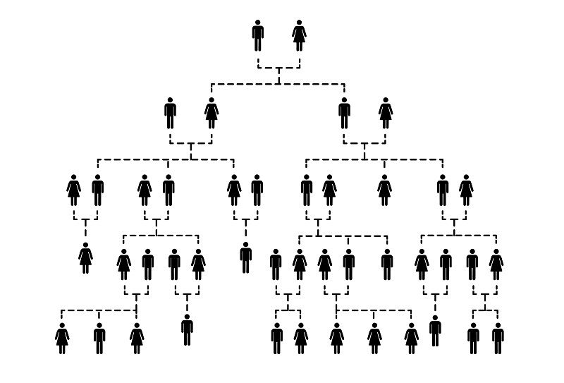 Beginner, Intermediate and Advanced Genealogy