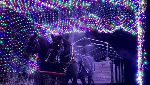 Winter Festival of Lights NY  Horse Drawn Wagon Rides