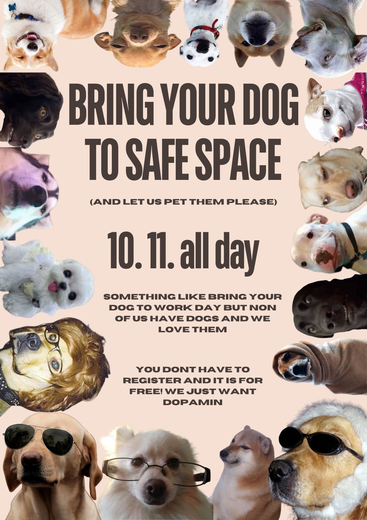 Bring your dog to Safe space bookstore