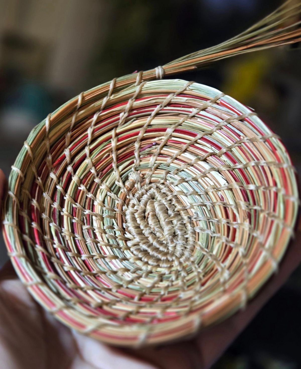 Pine Needle Basket Weaving Workshop 