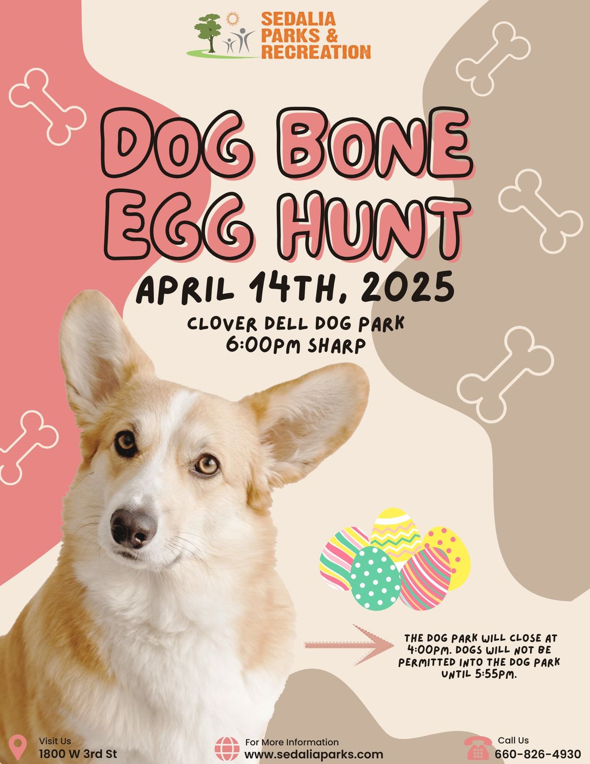 Dog Bone Egg Hunt