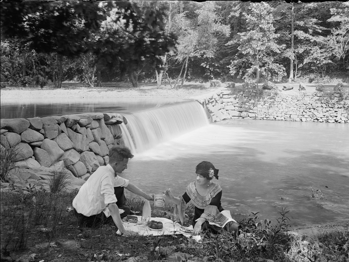 Picnic in the Park