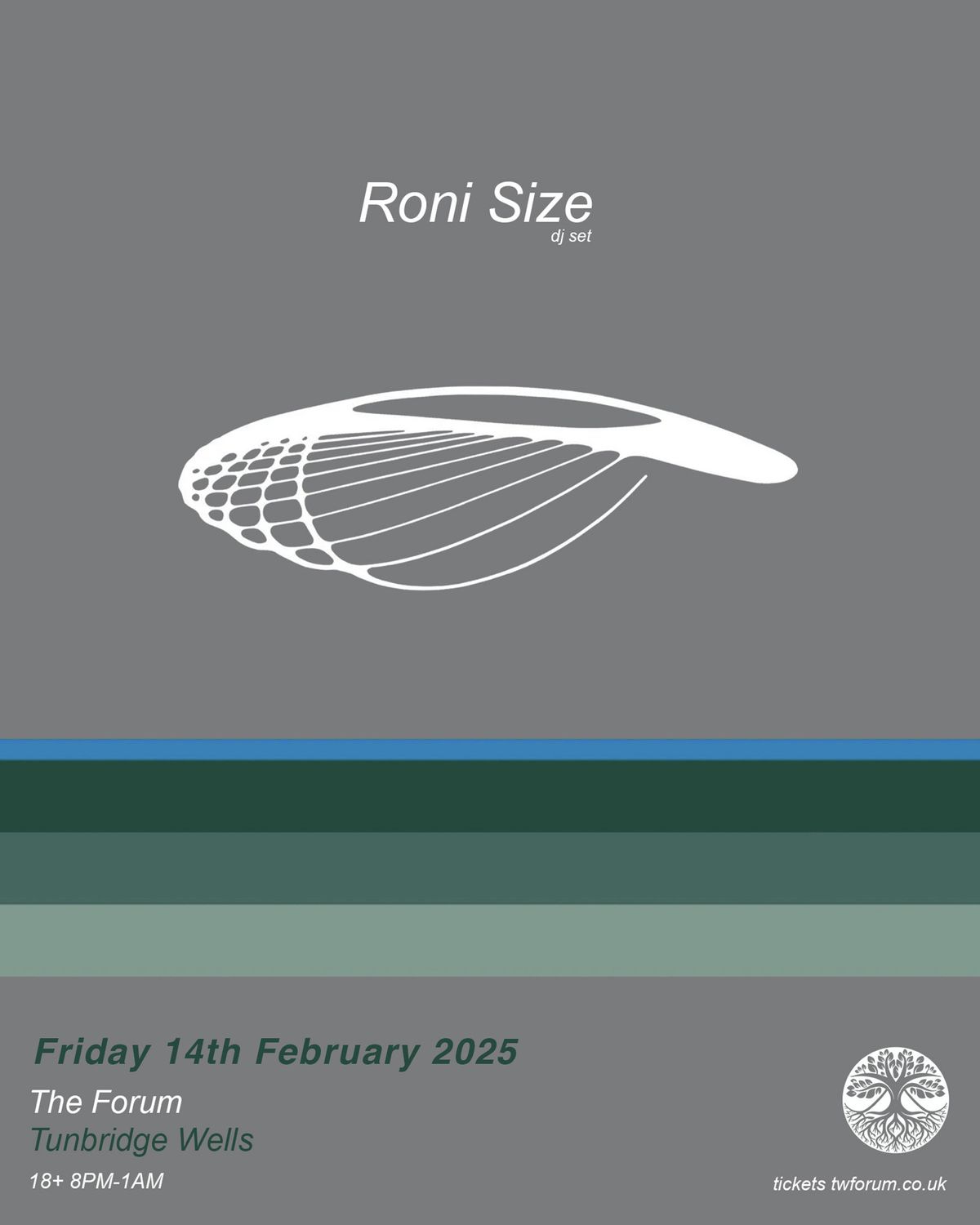 Roni Size (dj) - Tunbridge Wells