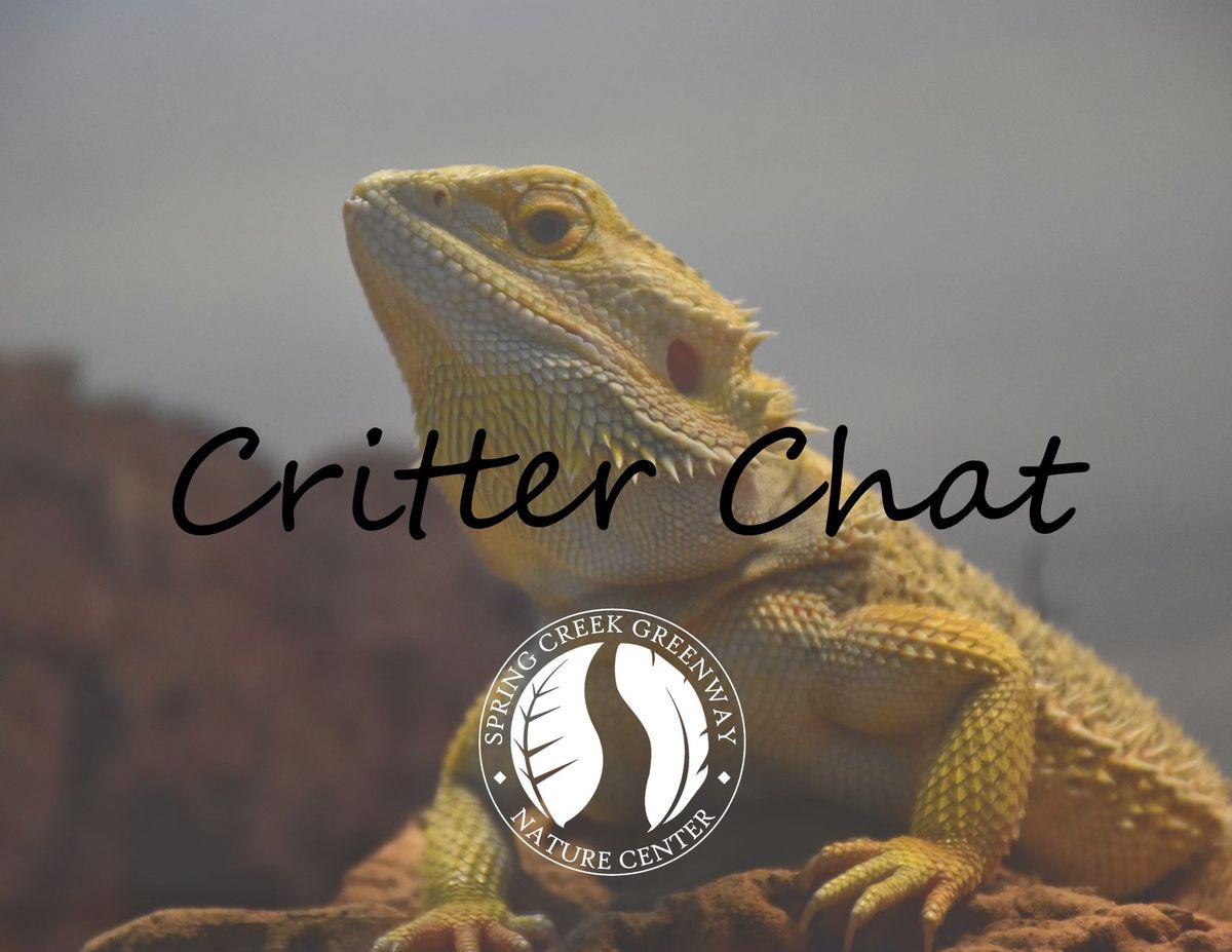 Critter Chat- Creepy Crawlies Edition