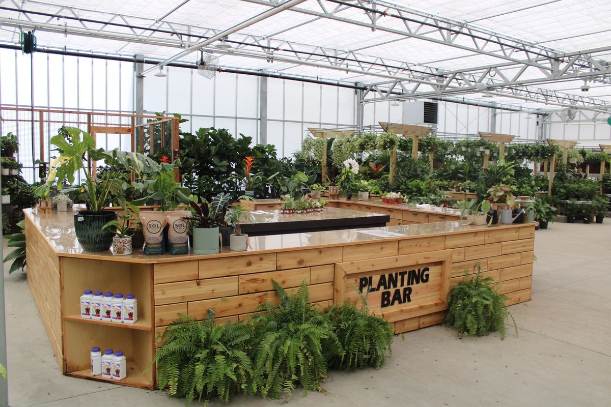 Extraordinary Houseplant Event (Melissa Location)