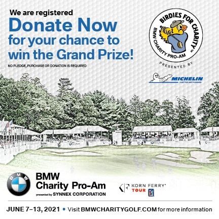 BMW Birdies For Charity Benefitting Cancer Association of Anderson.