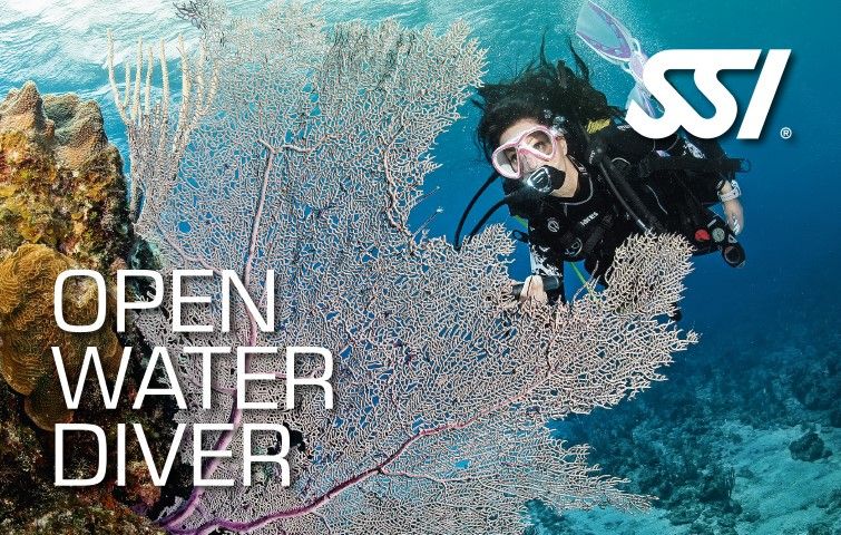 Open Water Diver -- Part 1: Pool & Classroom